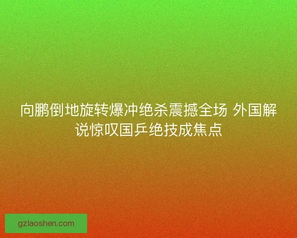 向鹏倒地旋转爆冲绝杀震撼全场 外国解说惊叹国乒绝技成焦点