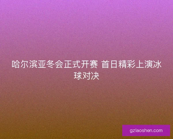 哈尔滨亚冬会正式开赛 首日精彩上演冰球对决